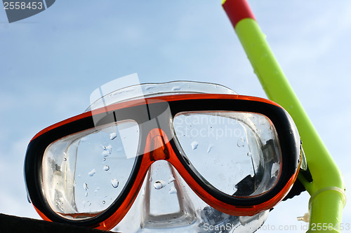 Image of Diving glasses