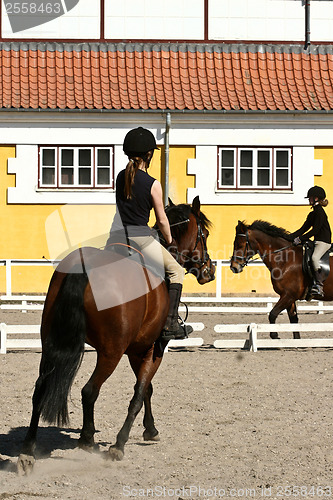 Image of Danish horse farm with riders