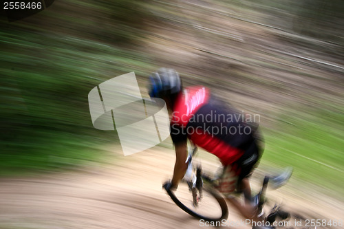 Image of Mountain bike race