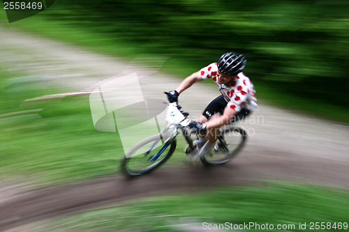 Image of Mountain bike race