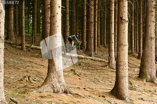 Image of Mountain bike race