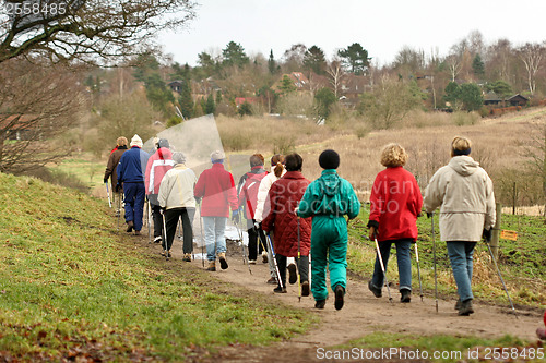 Image of Nordic walk training with a group of people