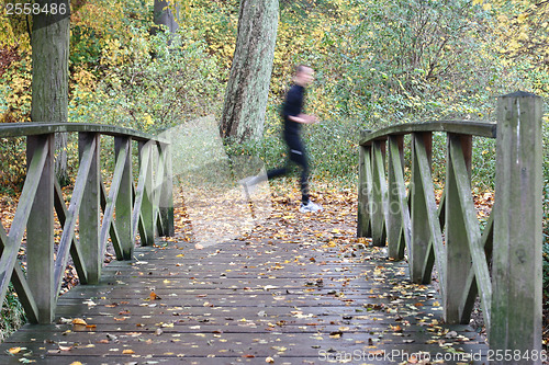 Image of Man running on a path in the forest in denmark