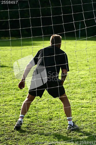 Image of Goal shot behind the net