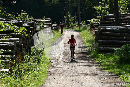 Image of Man running in a forest