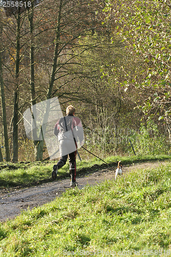 Image of Man running in a forest