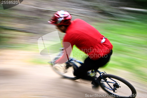 Image of Mountain bike race