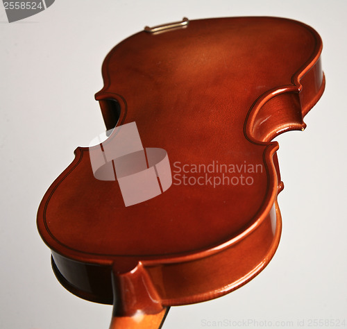 Image of Violin