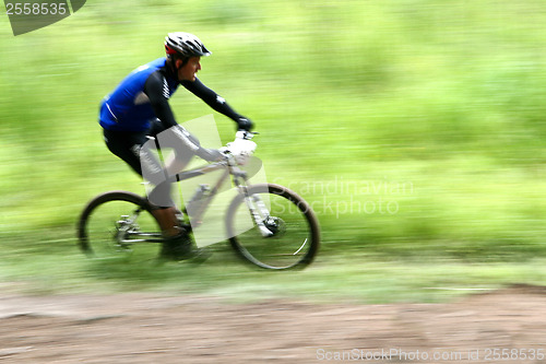 Image of Mountain bike race