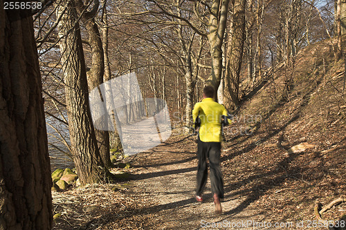 Image of Man running in a forest