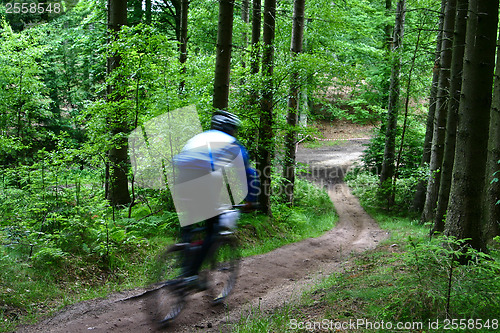 Image of Mountain bike race