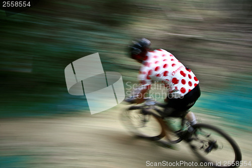 Image of Mountain bike race