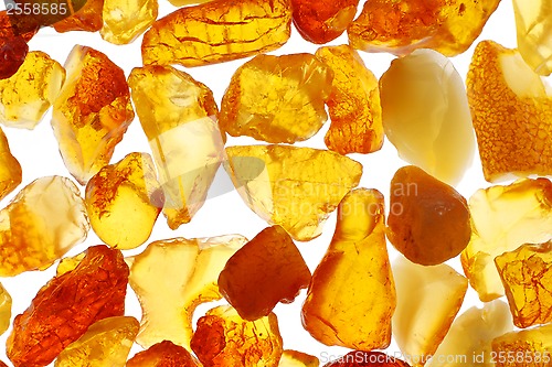Image of Amber