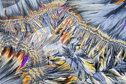Image of Microscopic view of sucrose crystals in polarized light