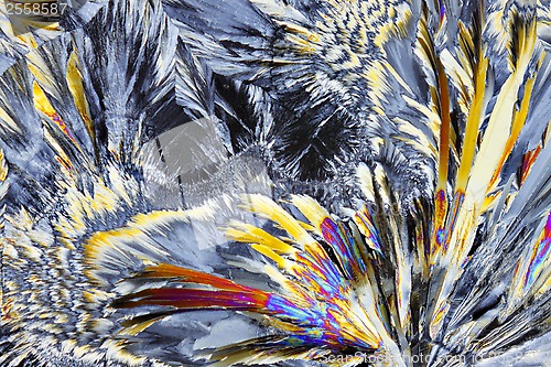 Image of Microscopic view of sucrose crystals in polarized light