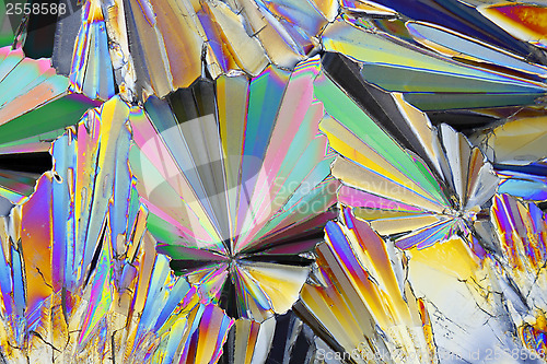 Image of Microscopic view of sucrose crystals in polarized light