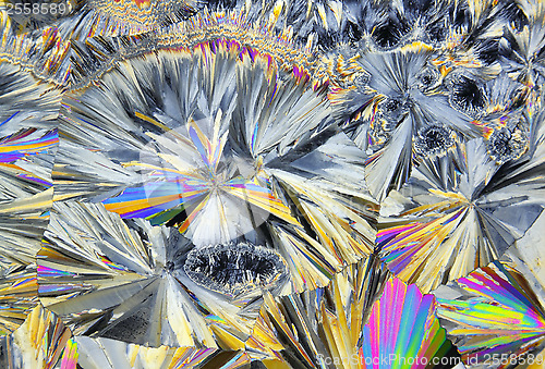 Image of Microscopic view of sucrose crystals in polarized light