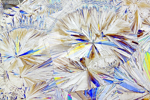 Image of Microscopic view of sucrose crystals in polarized light