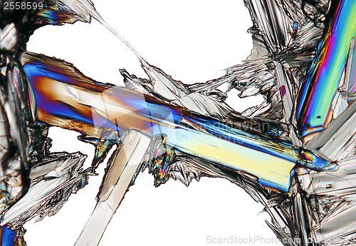 Image of Microscopic view of potassium nitrate crystal in polarized light
