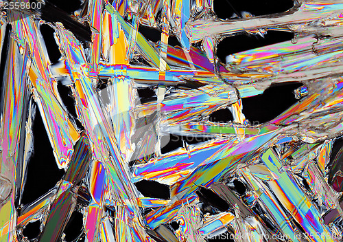 Image of Microscopic view of potassium nitrate crystals in polarized ligh