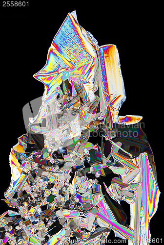 Image of Microscopic view of potassium nitrate crystals in polarized ligh