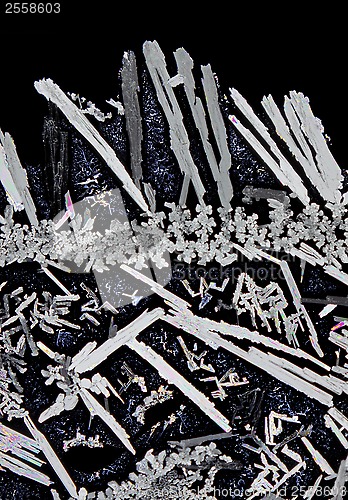 Image of Microscopic view of potassium nitrate crystals in polarized ligh