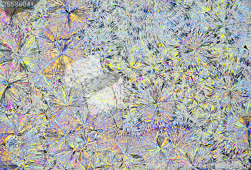 Image of Microscopic view of citric acid crystals in polarized light