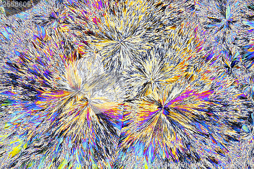 Image of Microscopic view of citric acid crystals in polarized light