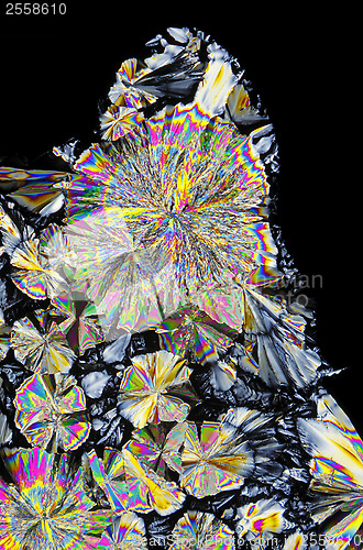 Image of Microscopic view of citric acid crystals in polarized light