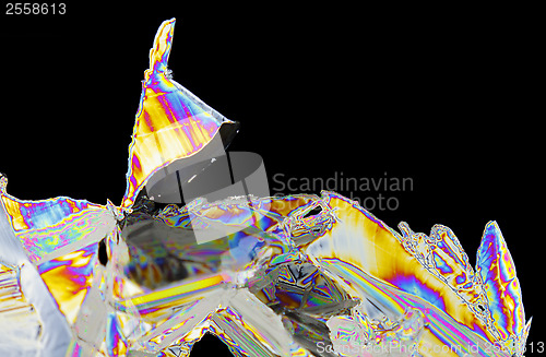 Image of Microscopic view of magnesium sulfate heptahydrate crystals in p