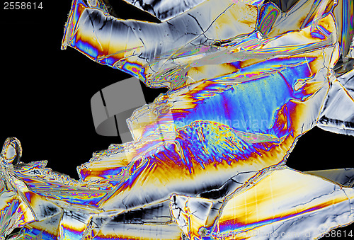 Image of Microscopic view of magnesium sulfate heptahydrate crystals in p