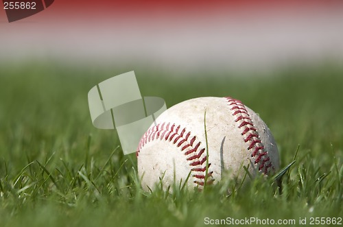 Image of Baseball on the field