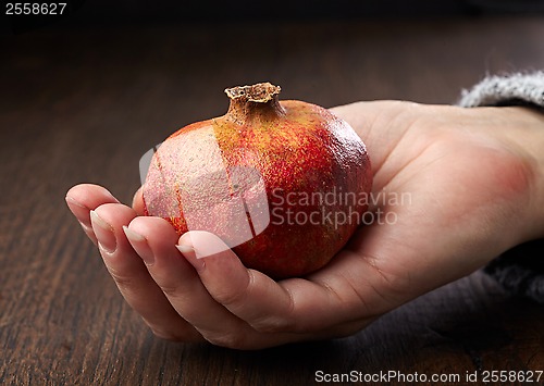 Image of Pomegranate in a hand