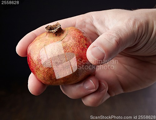 Image of Pomegranate in a hand