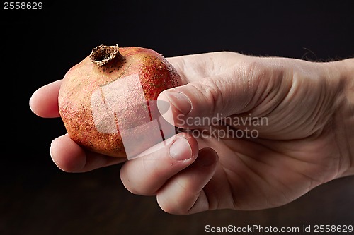 Image of Pomegranate in a hand