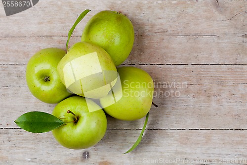 Image of fresh green apples 