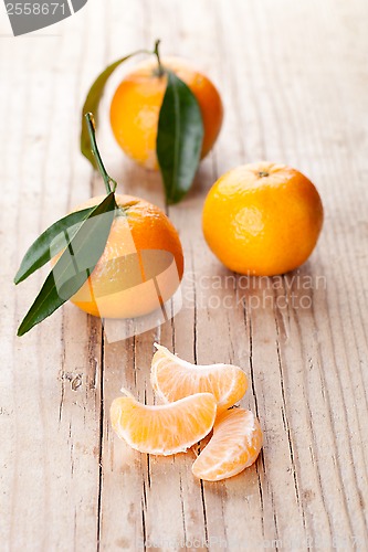 Image of fresh tangerines with leaves