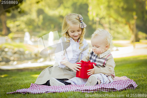 Image of Little Girl Gives Her Baby Brother A Gift at Park
