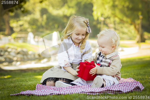 Image of Little Girl Gives Her Baby Brother A Gift at Park
