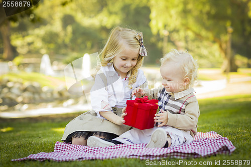 Image of Little Girl Gives Her Baby Brother A Gift at Park
