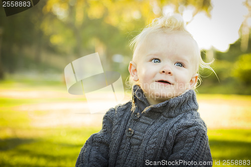 Image of Adorable Blonde Baby Boy Outdoors at the Park
