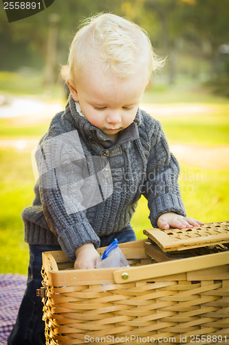 Image of Blonde Baby Boy Opening Picnic Basket Outdoors at the Park