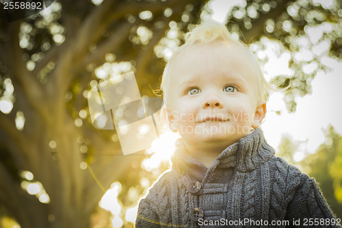 Image of Adorable Blonde Baby Boy Outdoors at the Park
