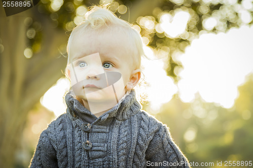 Image of Adorable Blonde Baby Boy Outdoors at the Park
