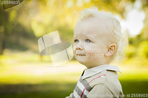 Image of Adorable Blonde Baby Boy Outdoors at the Park
