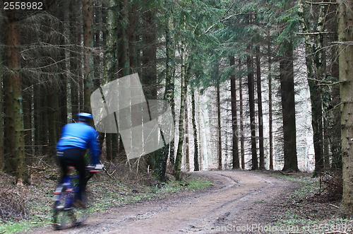 Image of Mountain bike in a forest