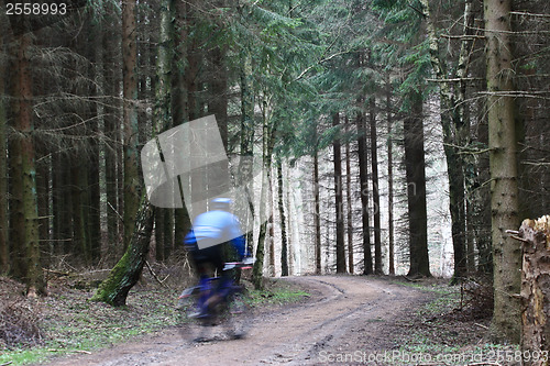 Image of Mountain bike race