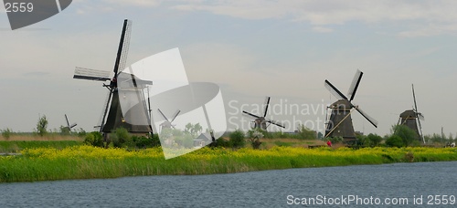 Image of Dutch landscape of mills-panorama