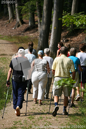 Image of Nordic walk training with a group of people