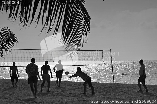 Image of Playing volleyball at the beach